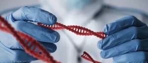 testes genéticos na gestação